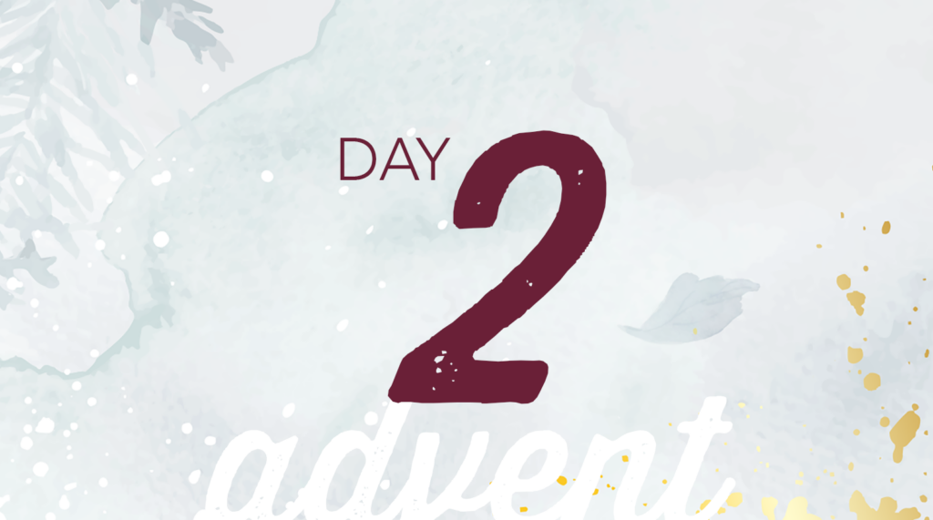 Advent reflection day 2 graphic. Watercolor brush strokes of Christmas tree branches in white and pale green.